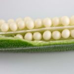 home remedies for diabetes