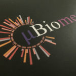 gut bacteria