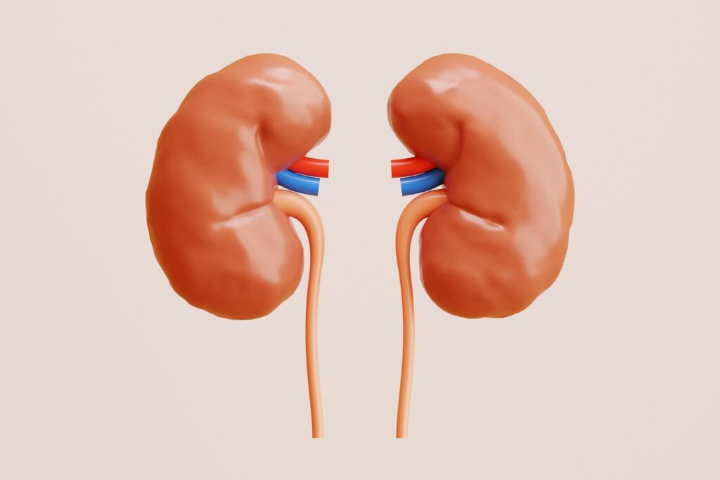 Recognizing Signs of Kidney Health Issues
